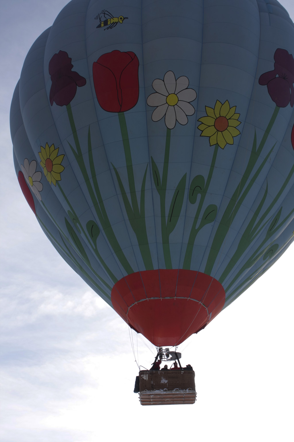 Balloon27
