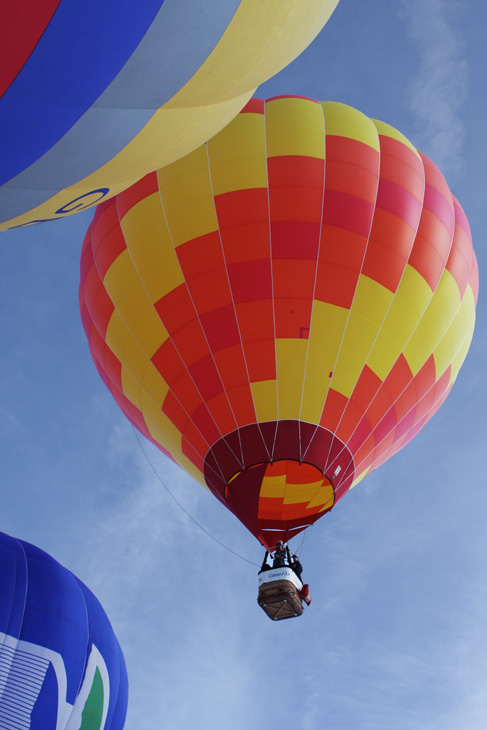 Balloon29