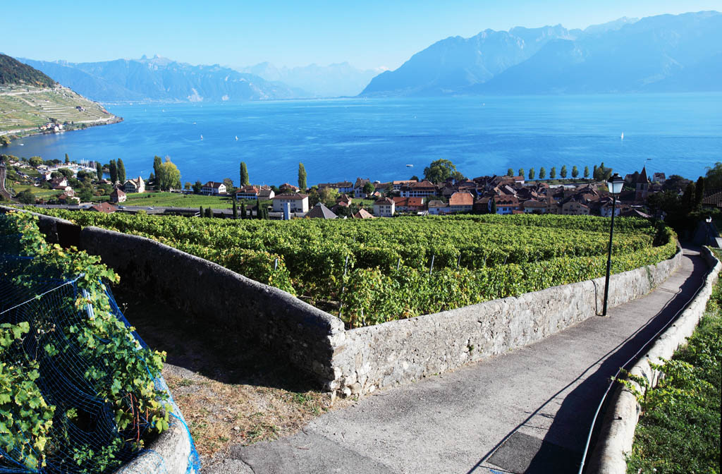 Lavaux003