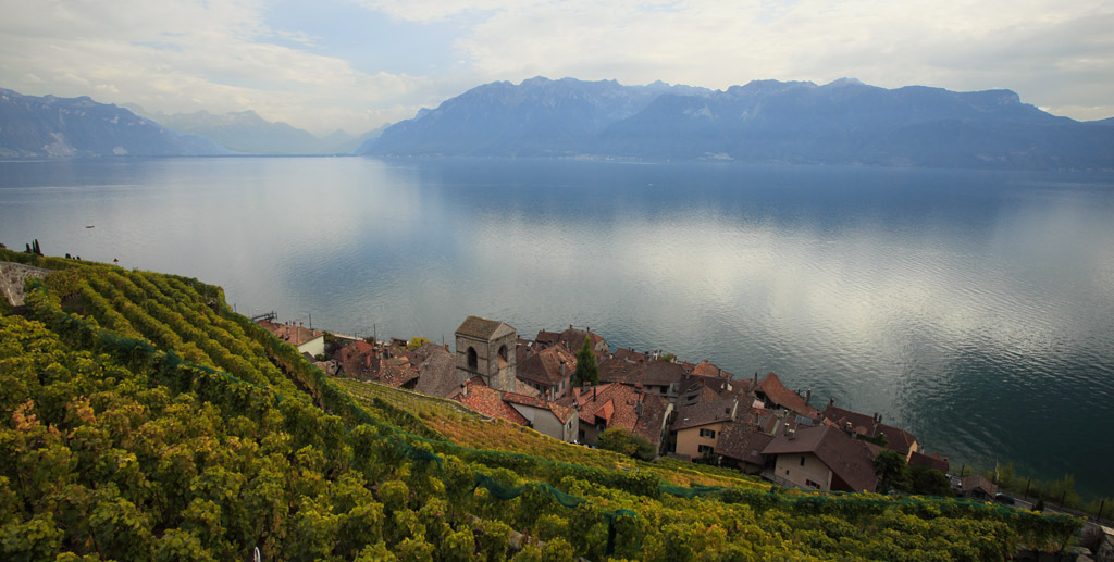 Lavaux004