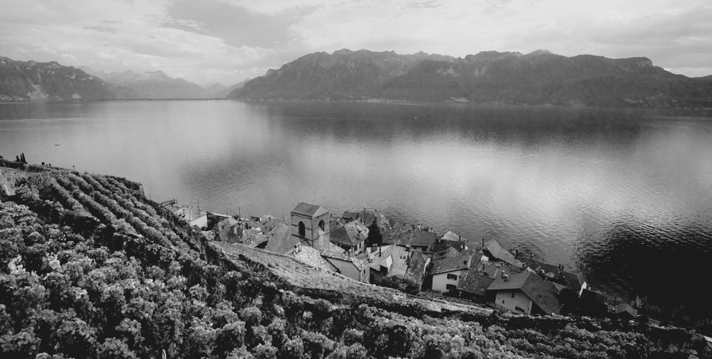 Lavaux005