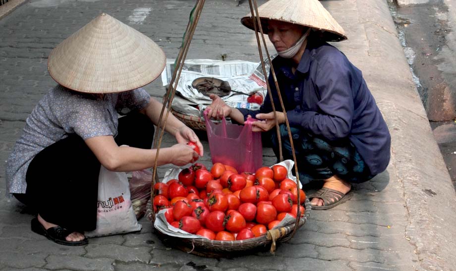HaNoi007