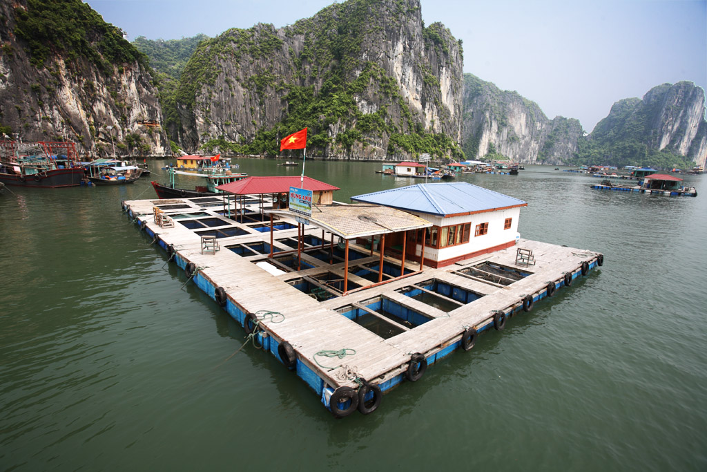 Vietnam