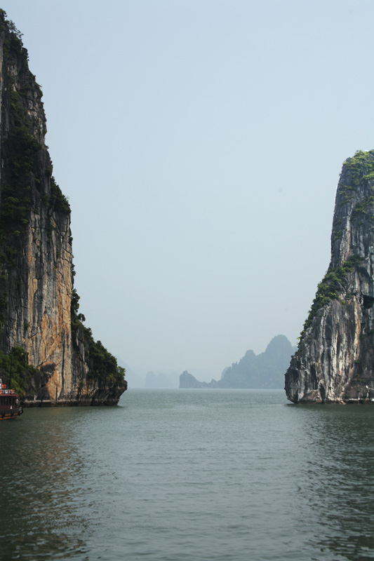 BayDaHong002