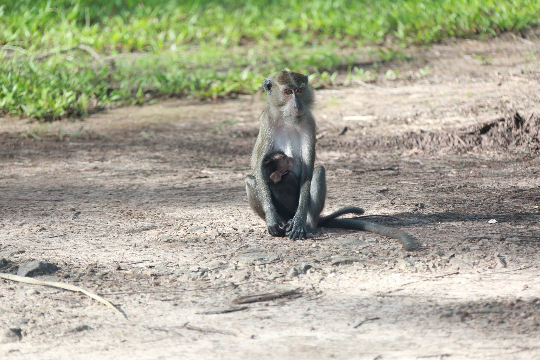 Thailand064