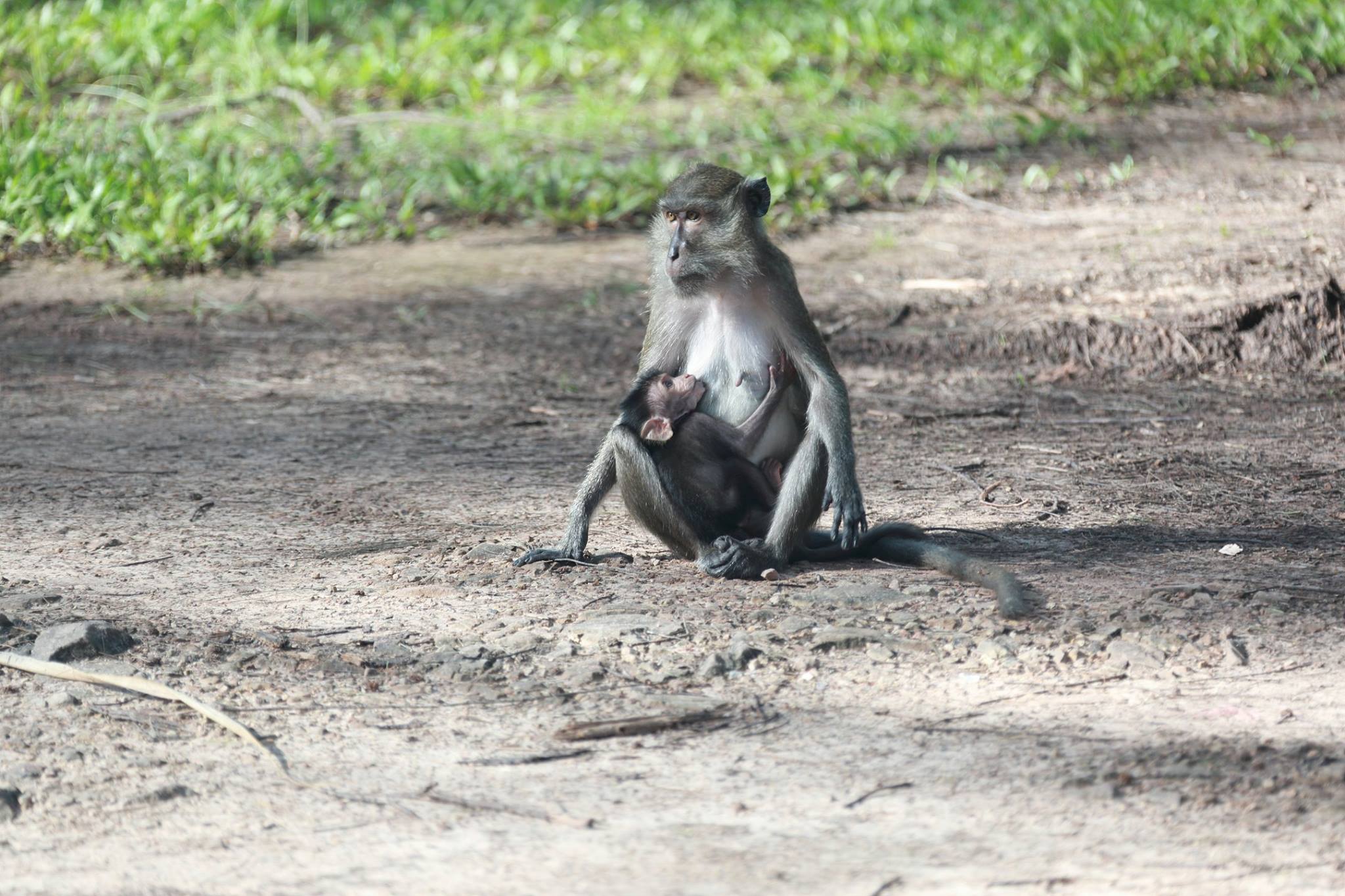 Thailand065