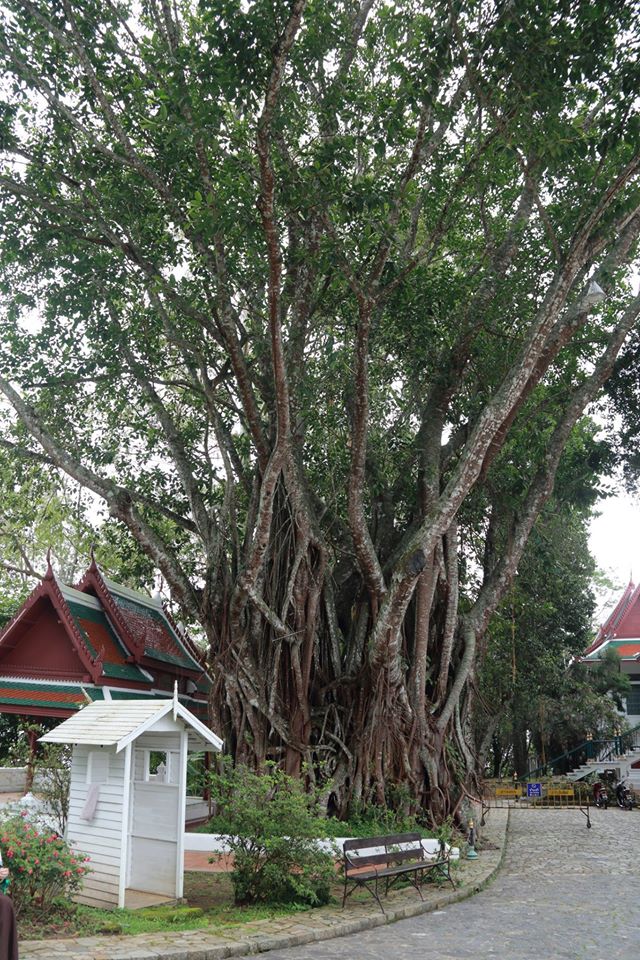 Thailand077