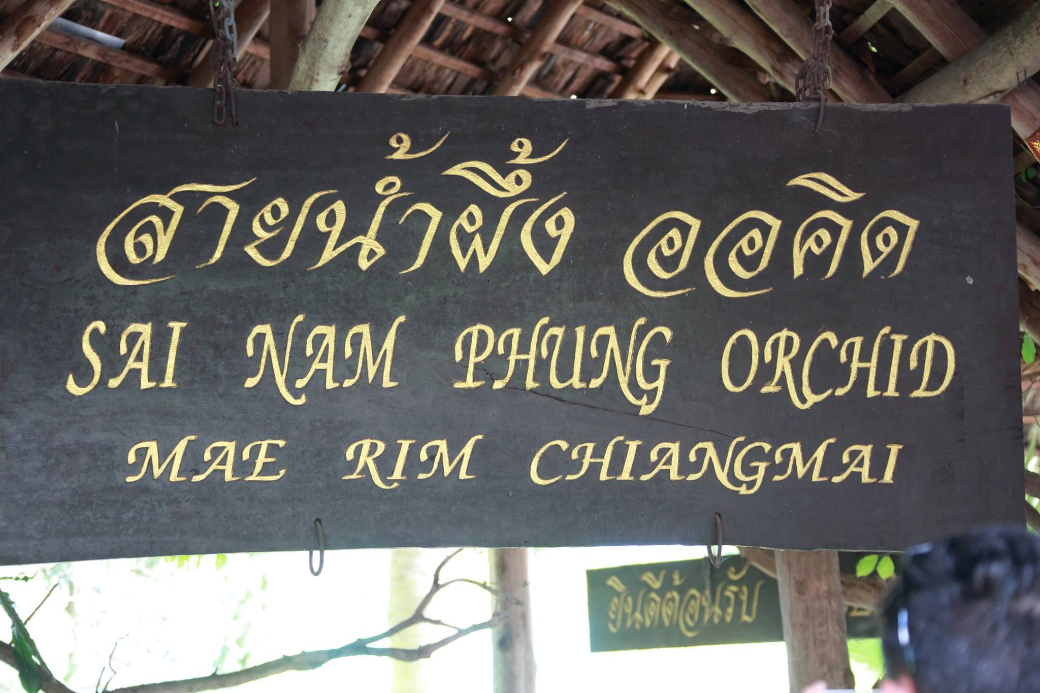 Thailand113
