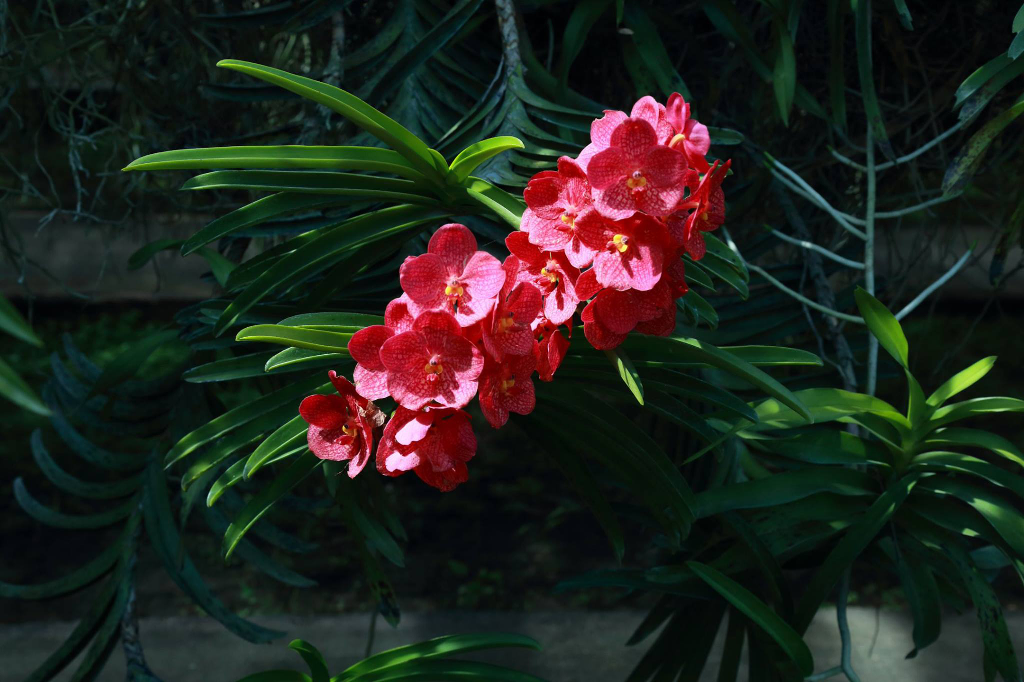 Thailand128