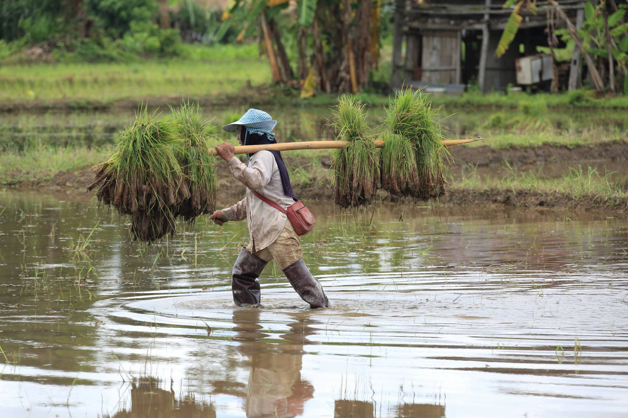 Thailand190