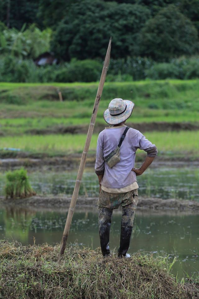 Thailand193