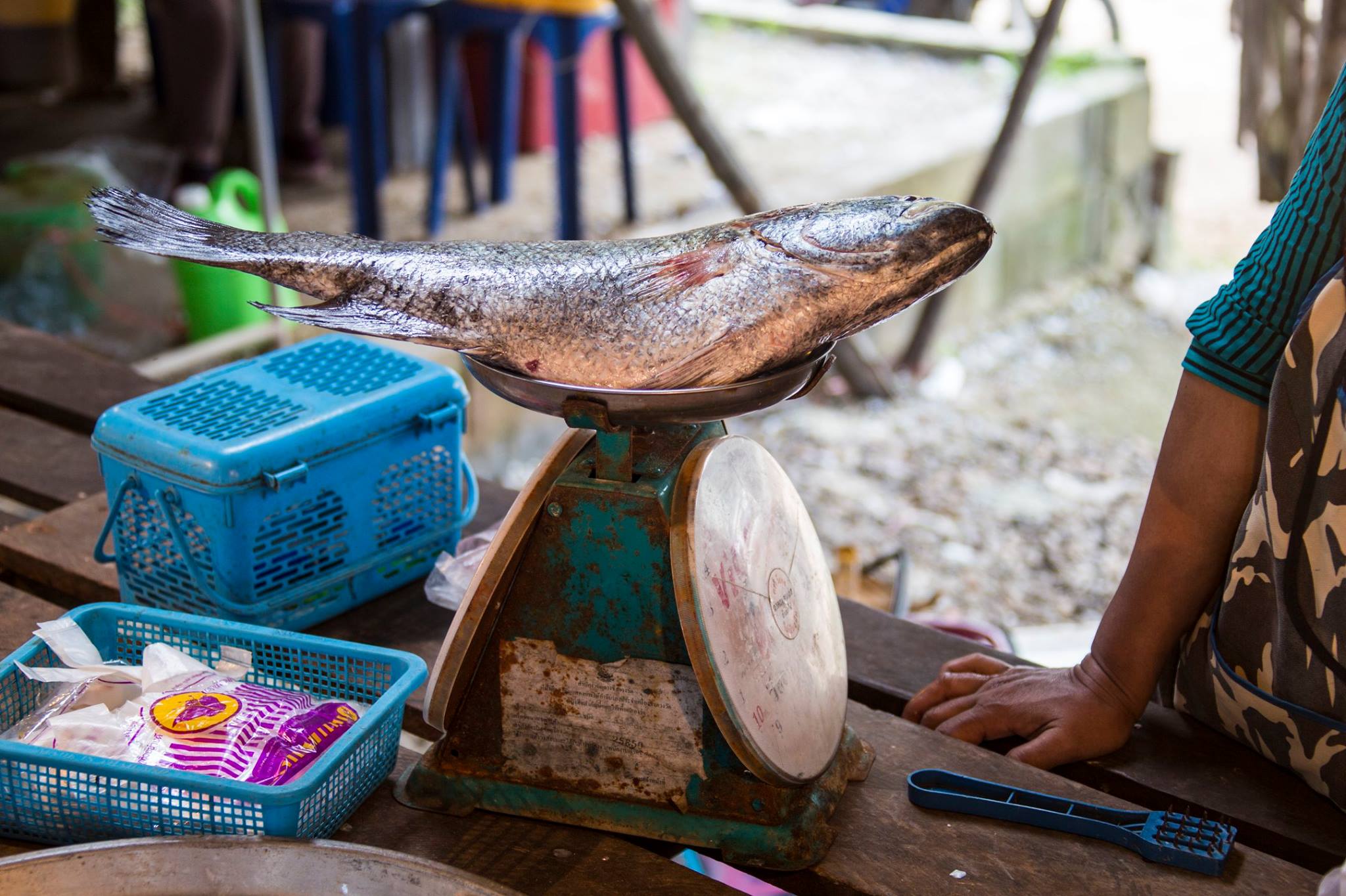 Thailand252