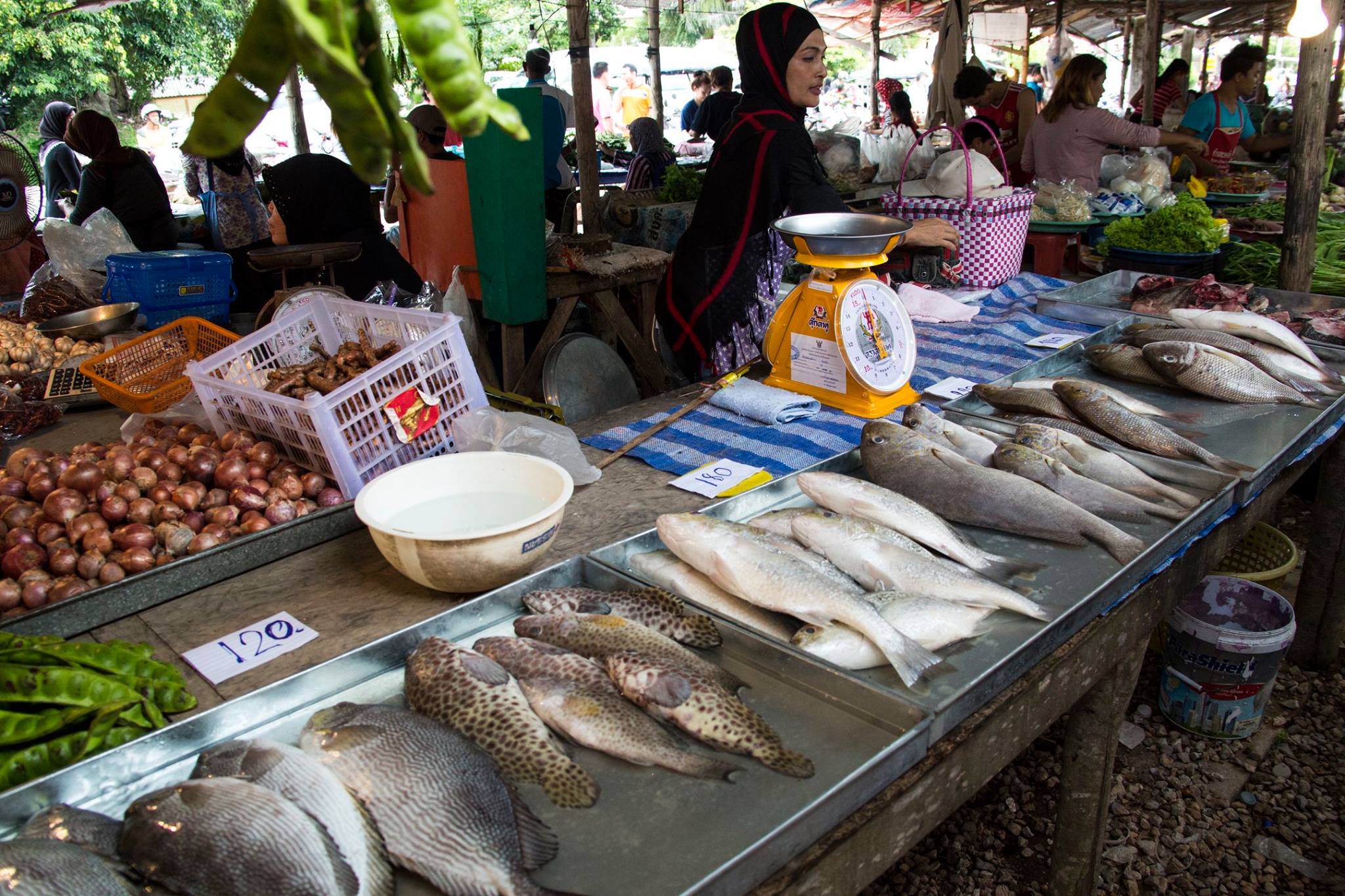 Thailand262