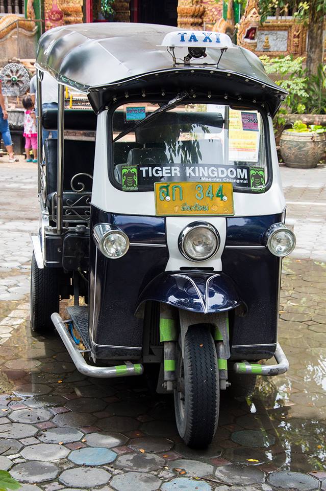 Thailand313