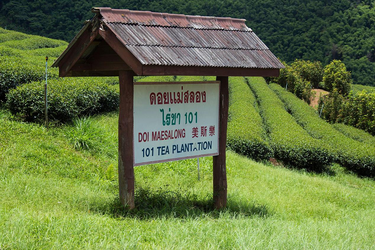 Thailand318
