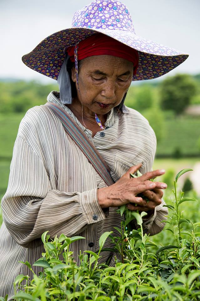 Thailand320