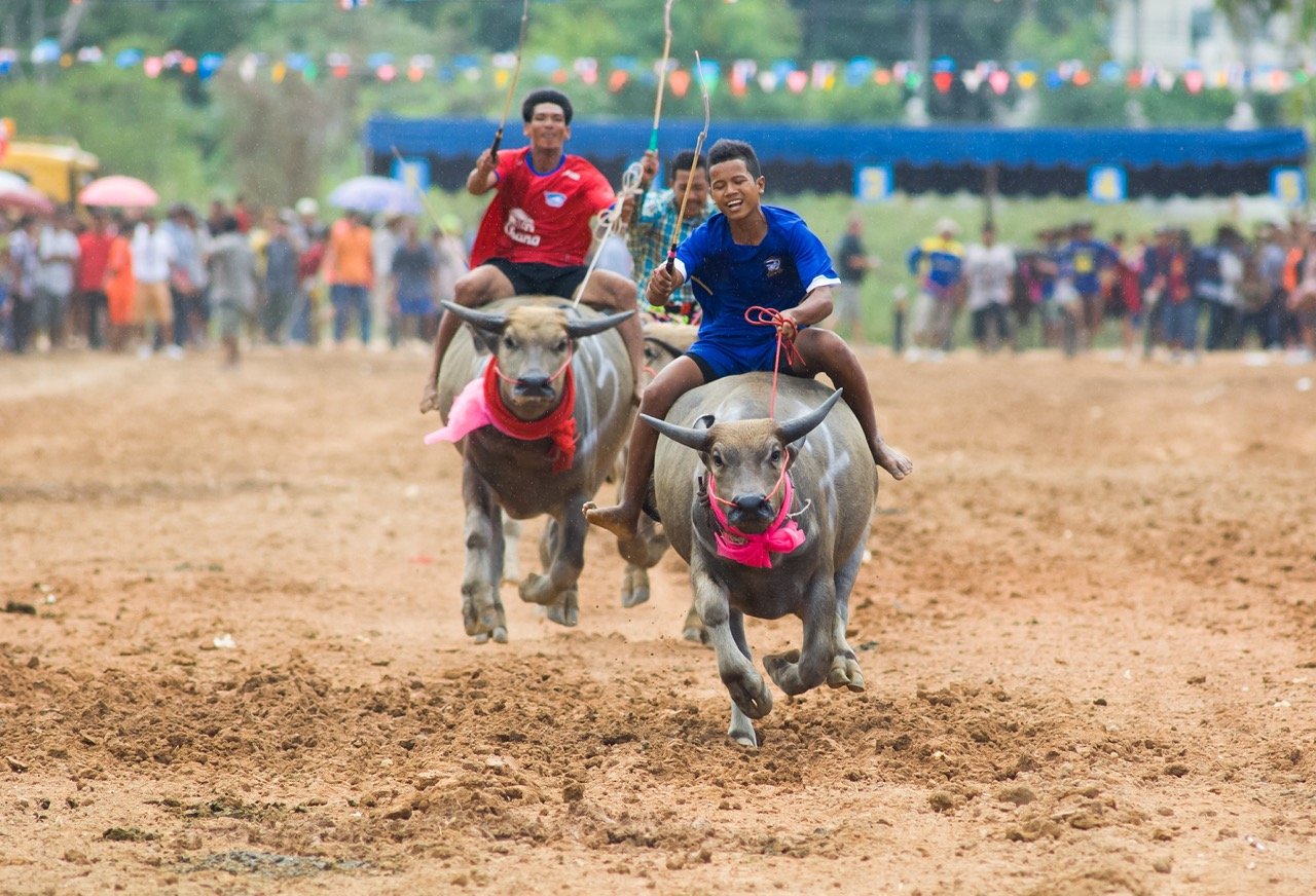 2023 - Buffalo Racing Festival