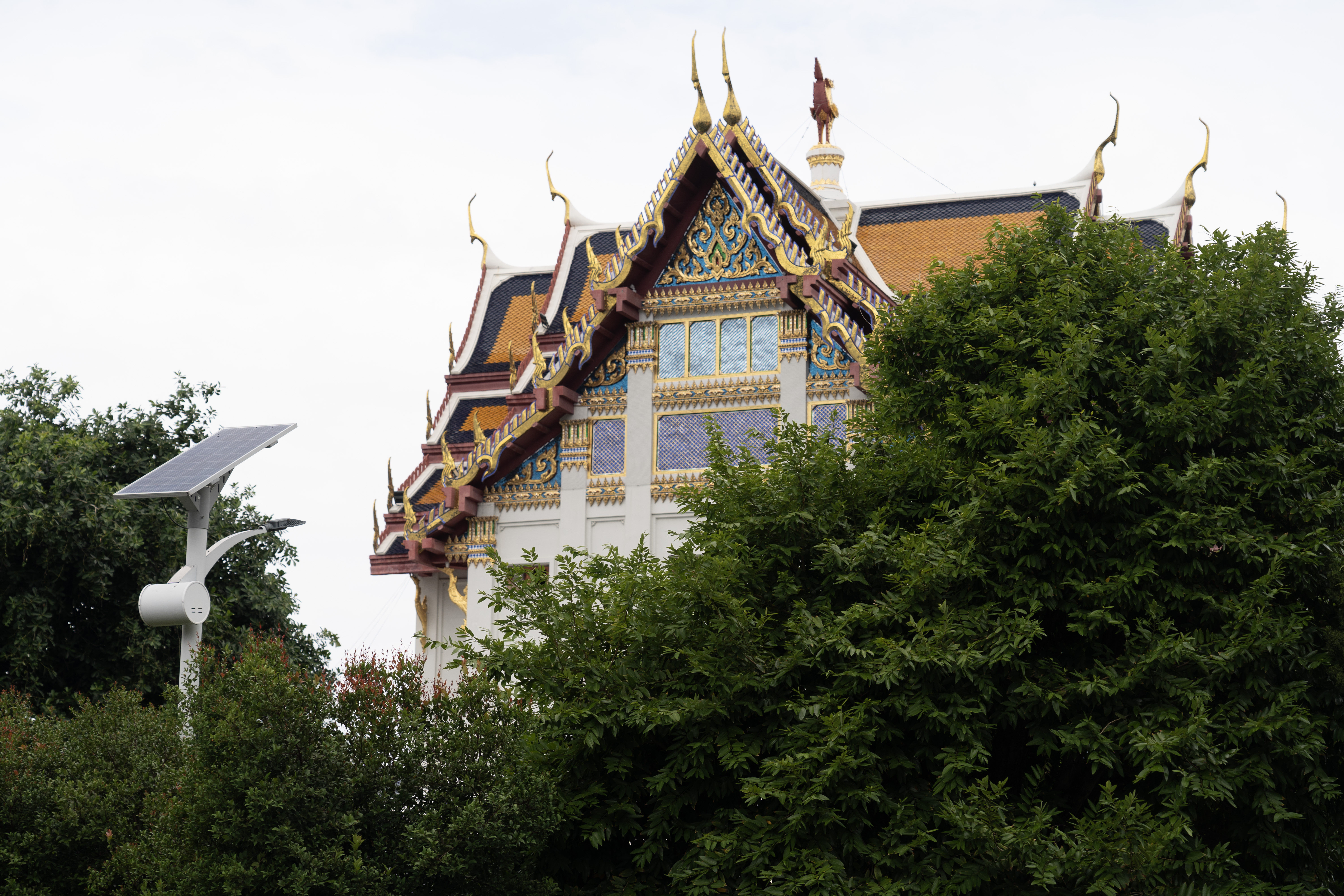 DSC00019