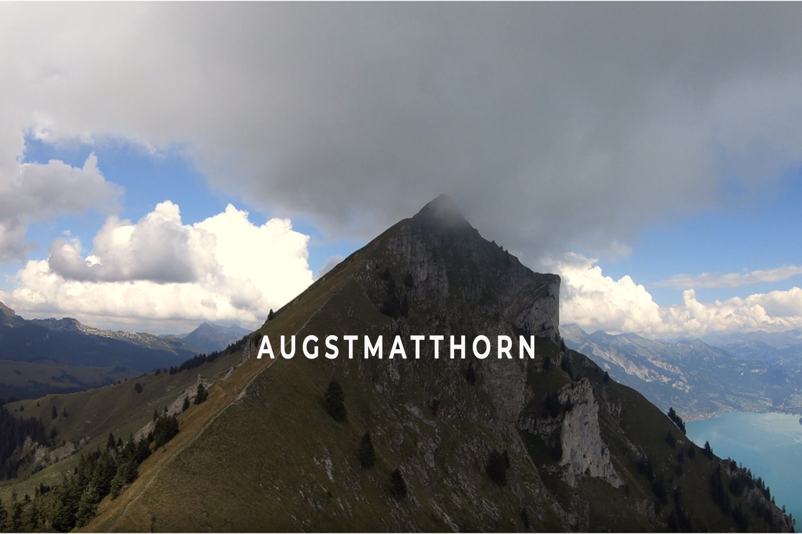 AugstMatthorn